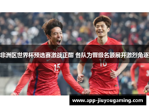 非洲区世界杯预选赛激战正酣 各队为晋级名额展开激烈角逐