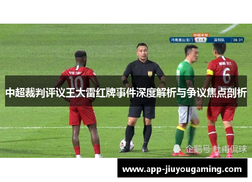 中超裁判评议王大雷红牌事件深度解析与争议焦点剖析