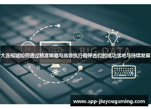 大连鲲城如何通过精准策略与高效执行确保合约的成功落地与持续发展