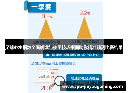 足球心水指数全面解读与使用技巧指南助你精准预测比赛结果